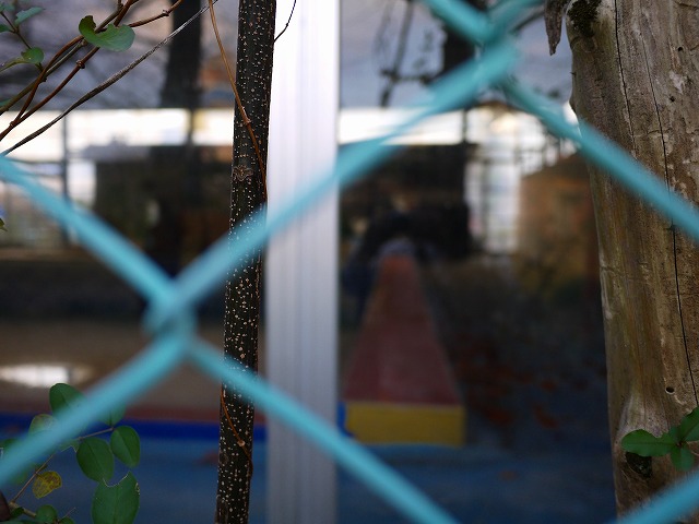 f:id:congiro:20150106163014j:image