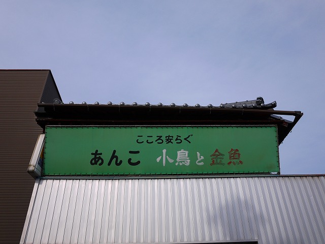 f:id:congiro:20150106163034j:image