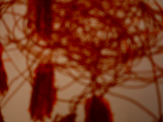 f:id:congiro:20150221211556j:image f:id:congiro:20150221211556j:image