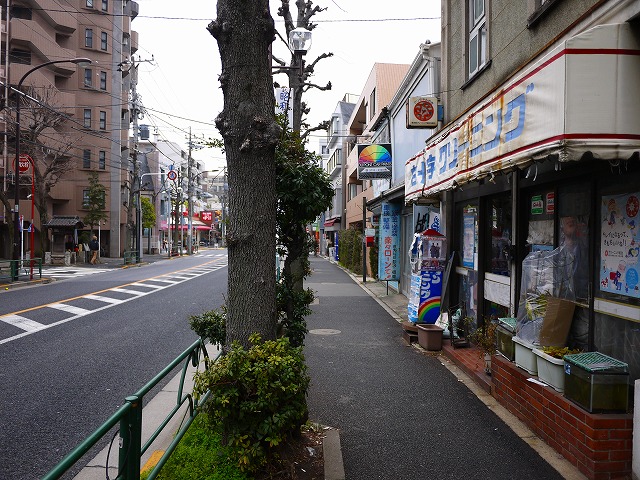 f:id:congiro:20150222230211j:image