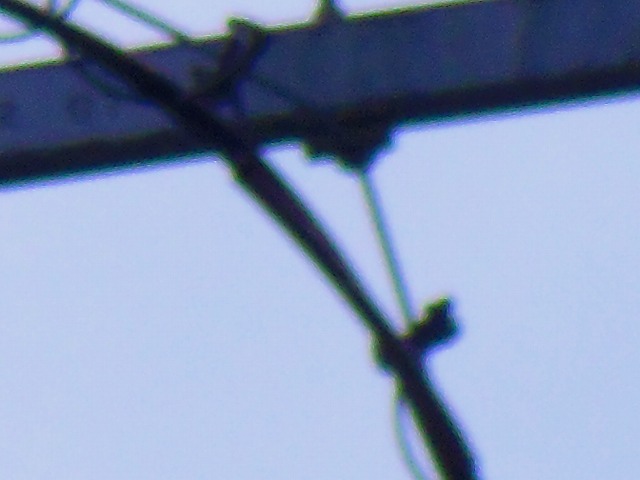 f:id:congiro:20150307235707j:image