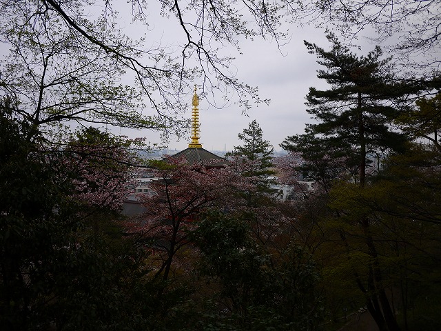 f:id:congiro:20150405234050j:image