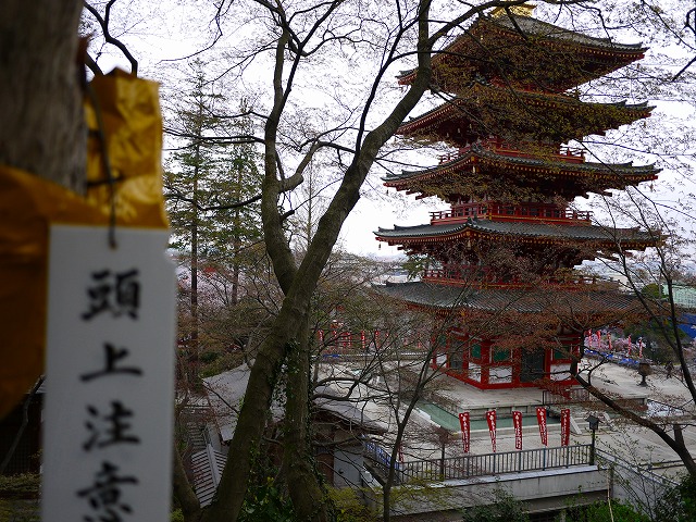 f:id:congiro:20150405234051j:image