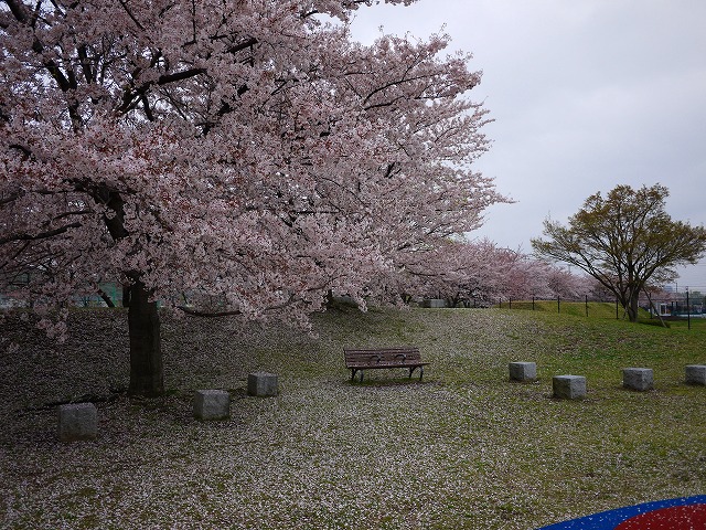 f:id:congiro:20150405234103j:image