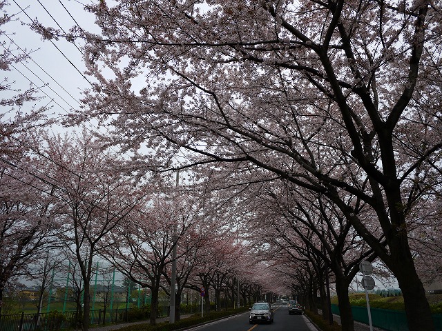 f:id:congiro:20150405234109j:image