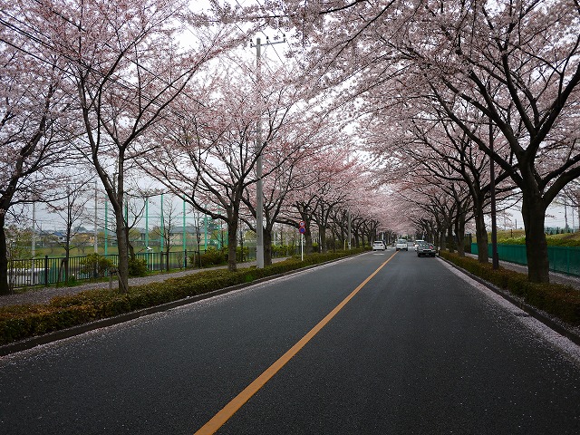 f:id:congiro:20150405234110j:image