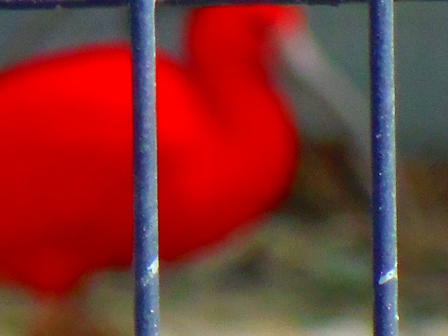 f:id:congiro:20150419102326j:image