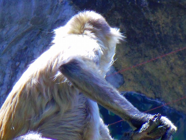 f:id:congiro:20150419102332j:image