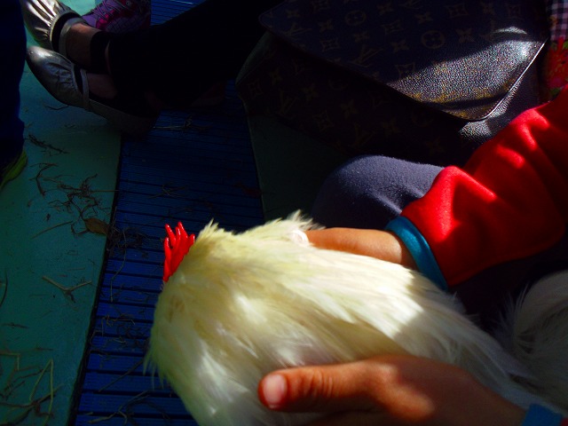 f:id:congiro:20150419102334j:image