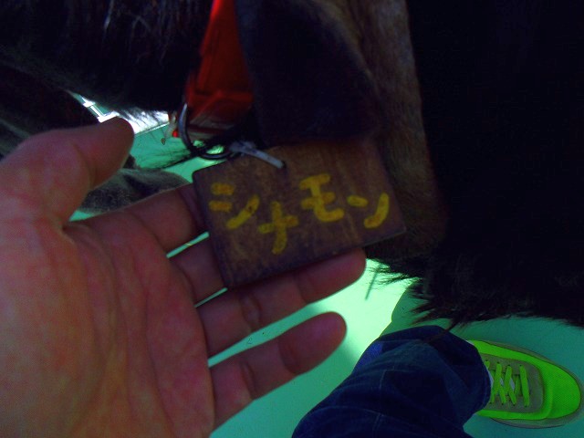 f:id:congiro:20150419102335j:image