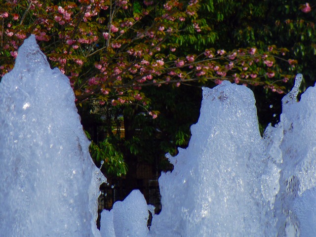 f:id:congiro:20150419102341j:image