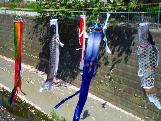 f:id:congiro:20150426214112j:image
