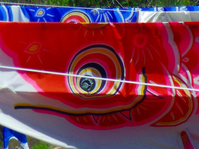 f:id:congiro:20150426214117j:image