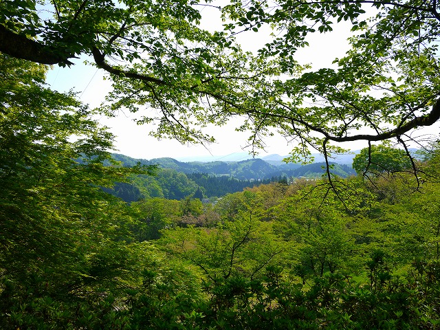 f:id:congiro:20150513004441j:image f:id:congiro:20150513004441j:image