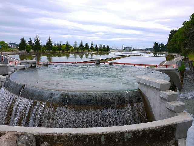 f:id:congiro:20150513082248j:image