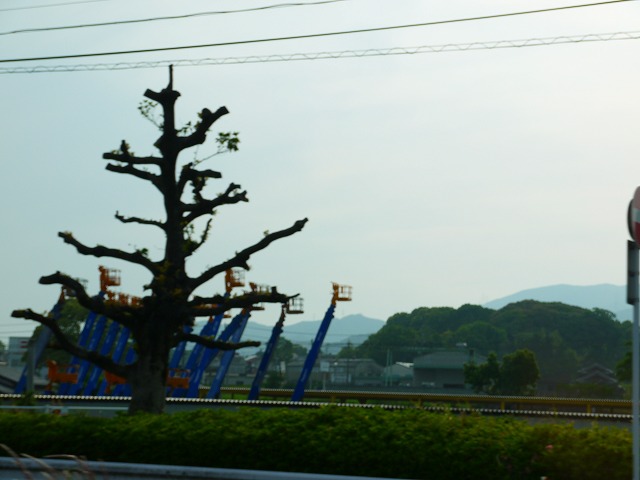 f:id:congiro:20150513183253j:image