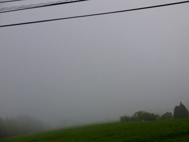 f:id:congiro:20150513183432j:image f:id:congiro:20150513183432j:image