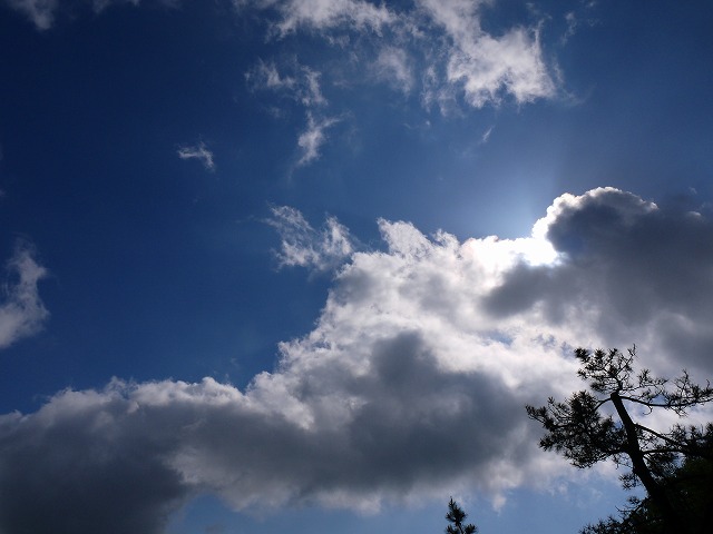 f:id:congiro:20150513183437j:image f:id:congiro:20150513183437j:image