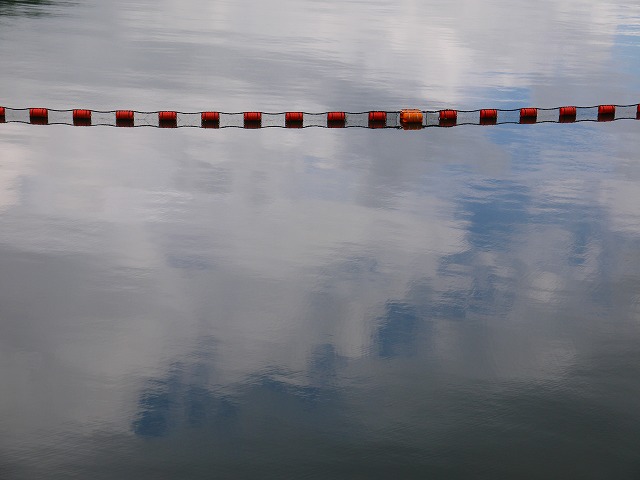 f:id:congiro:20150513183528j:image f:id:congiro:20150513183528j:image
