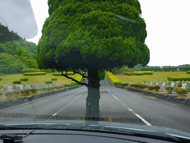 f:id:congiro:20150513183536j:image f:id:congiro:20150513183536j:image