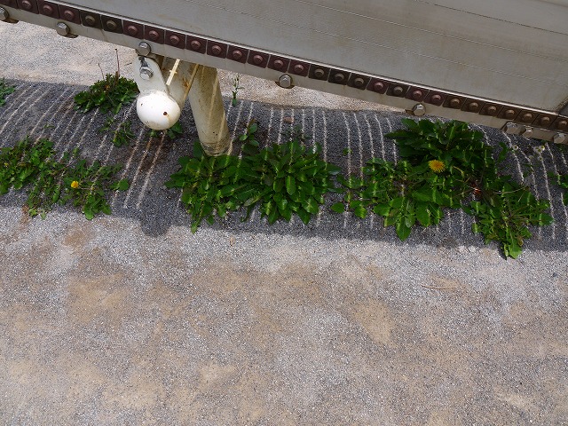 f:id:congiro:20150524005246j:image