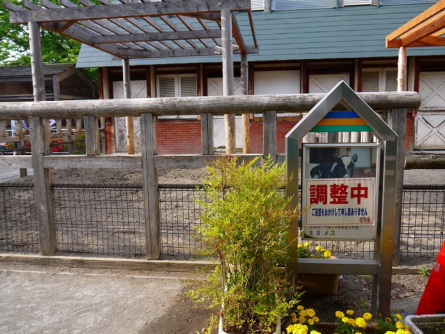 f:id:congiro:20150524005325j:image