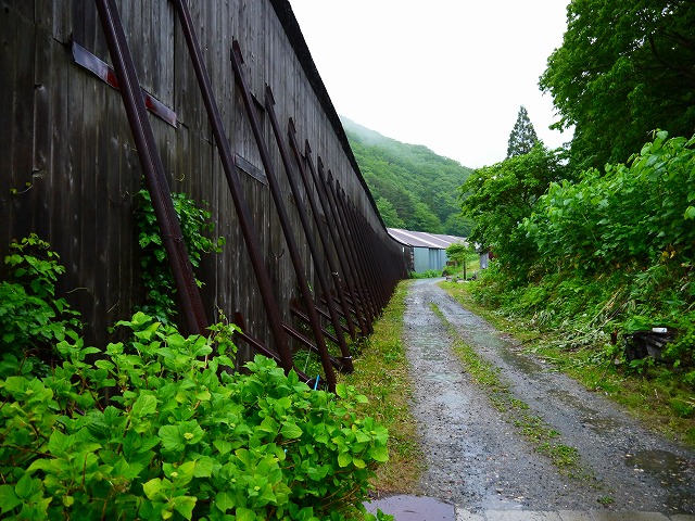 f:id:congiro:20150609133406j:image