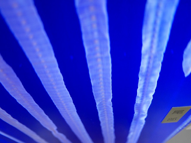 f:id:congiro:20150713012034j:image