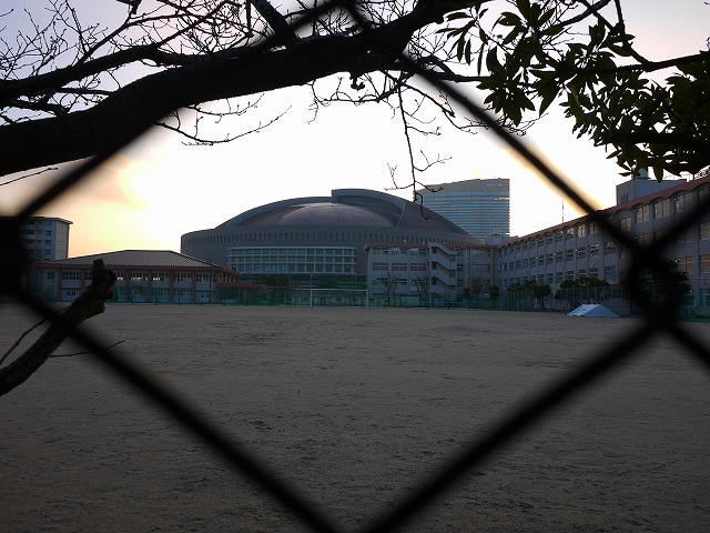 f:id:congiro:20160103211721j:image