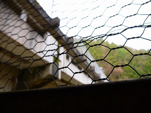 f:id:congiro:20160105162816j:image