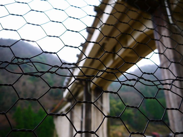 f:id:congiro:20160105162827j:image