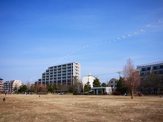 f:id:congiro:20160117214741j:image