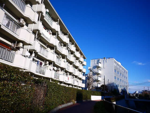 f:id:congiro:20160124235153j:image