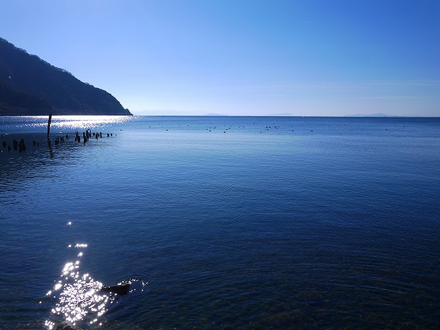 f:id:congiro:20160216175349j:image