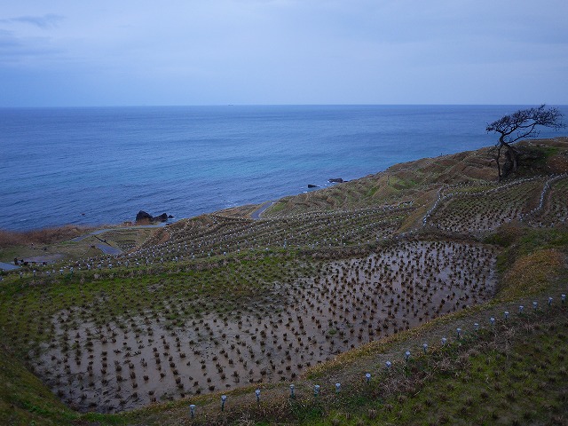 f:id:congiro:20160216181231j:image