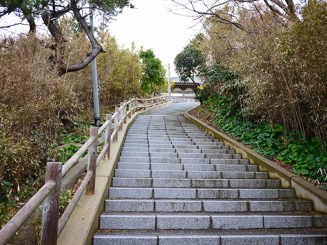 f:id:congiro:20160216181307j:image