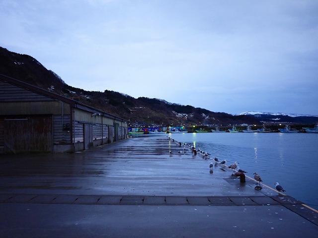 f:id:congiro:20160216181418j:image