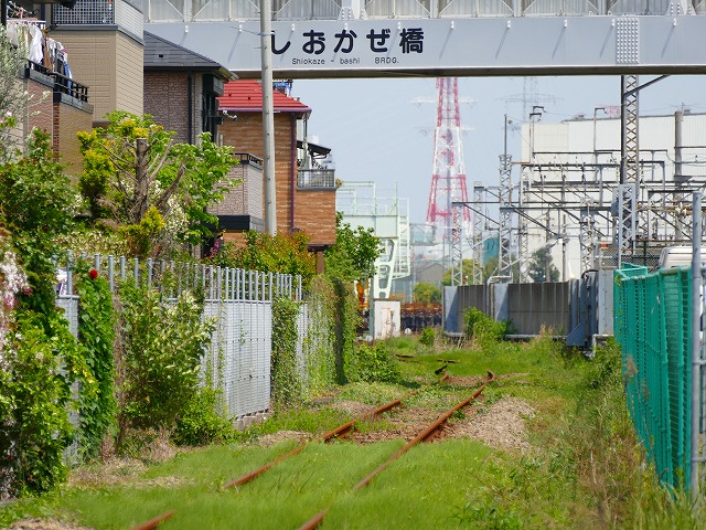 f:id:congiro:20160502005349j:image