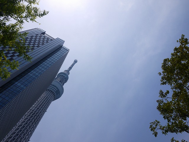 f:id:congiro:20160504001656j:image