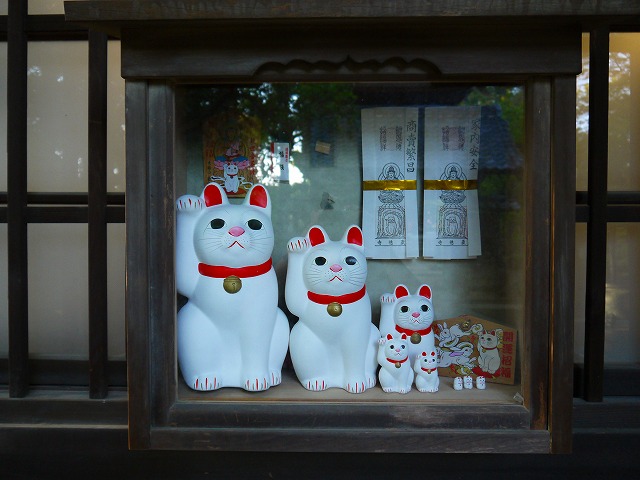 f:id:congiro:20160506003444j:image