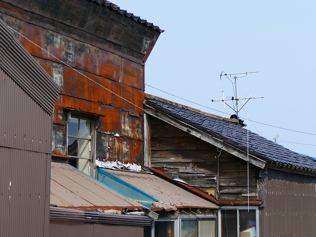 f:id:congiro:20160526011418j:image