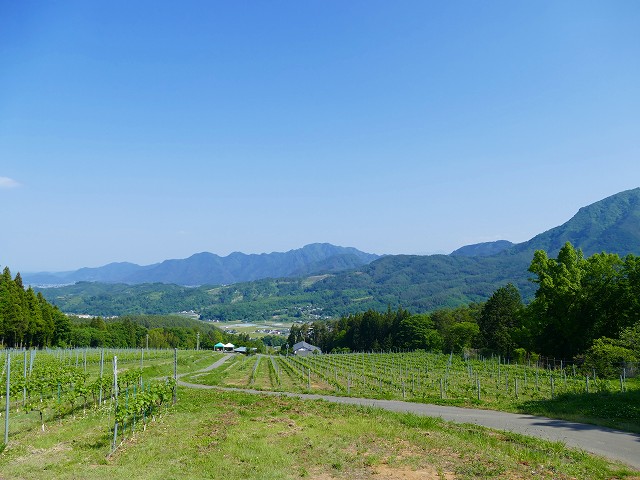 f:id:congiro:20160526011925j:image