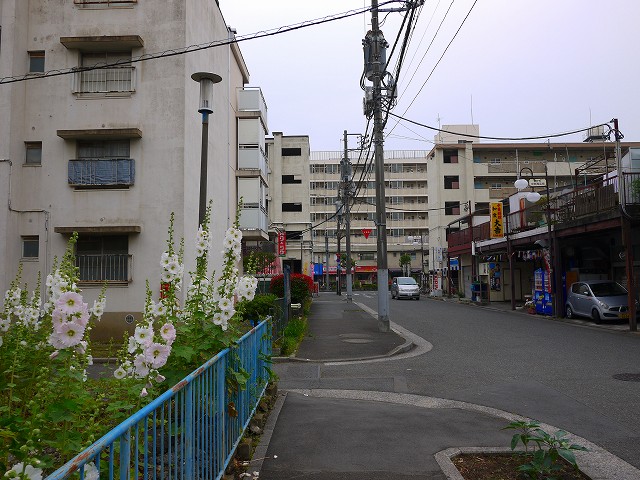 f:id:congiro:20160531013657j:image