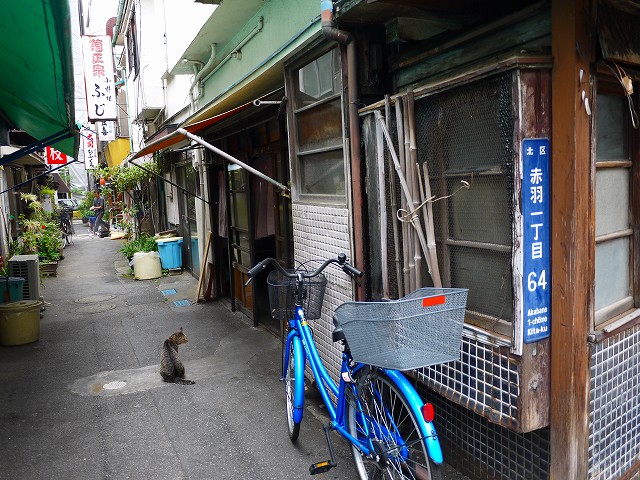 f:id:congiro:20160531013710j:image