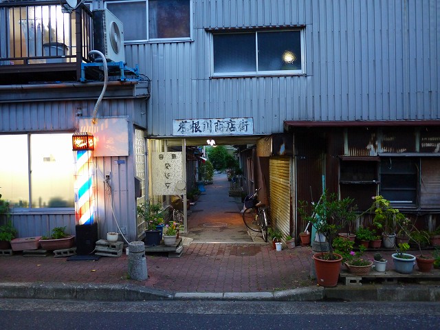 f:id:congiro:20160619234612j:image
