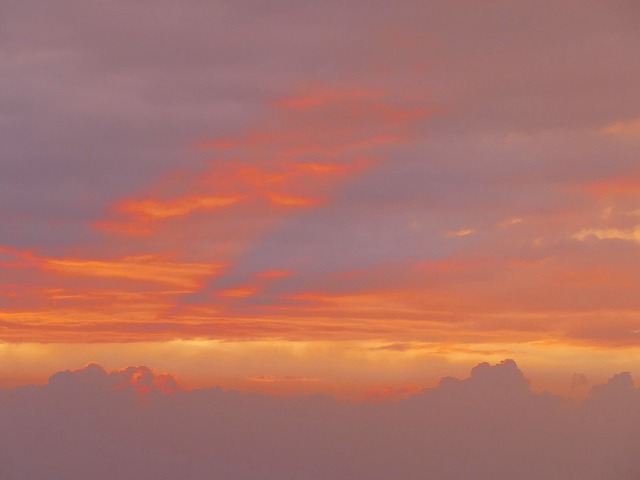 f:id:congiro:20160627210122j:image