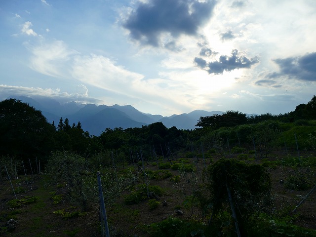 f:id:congiro:20160808234918j:image