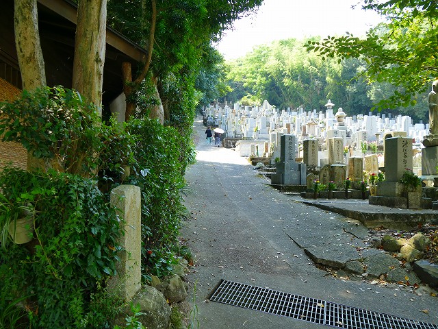 f:id:congiro:20160815213836j:image f:id:congiro:20160815213836j:image