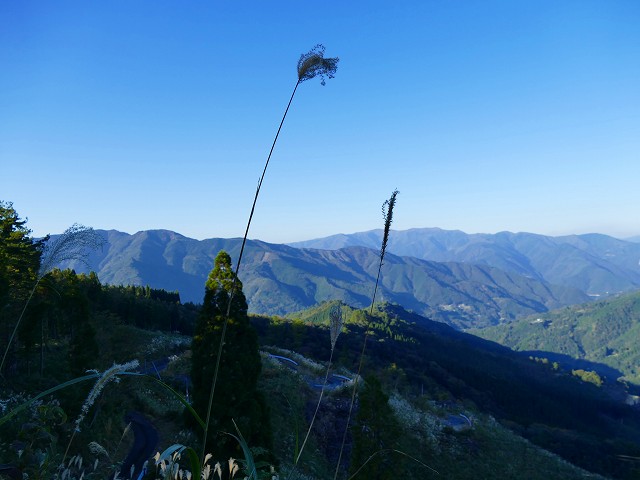 f:id:congiro:20161110000108j:image