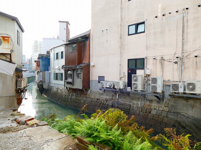 f:id:congiro:20161110000509j:image
